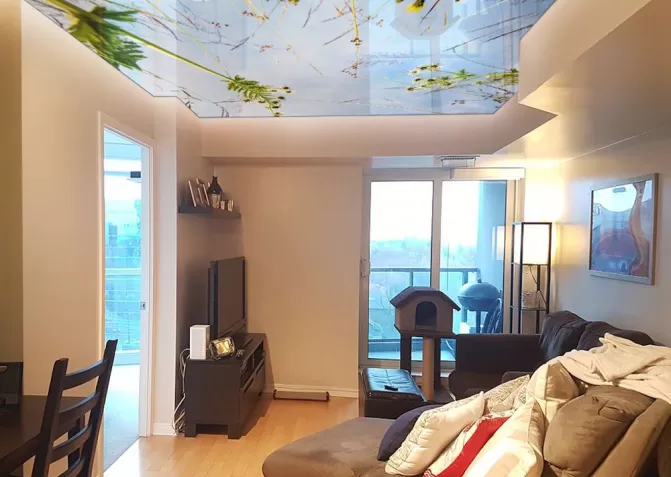 Бесшовные натяжные потолки